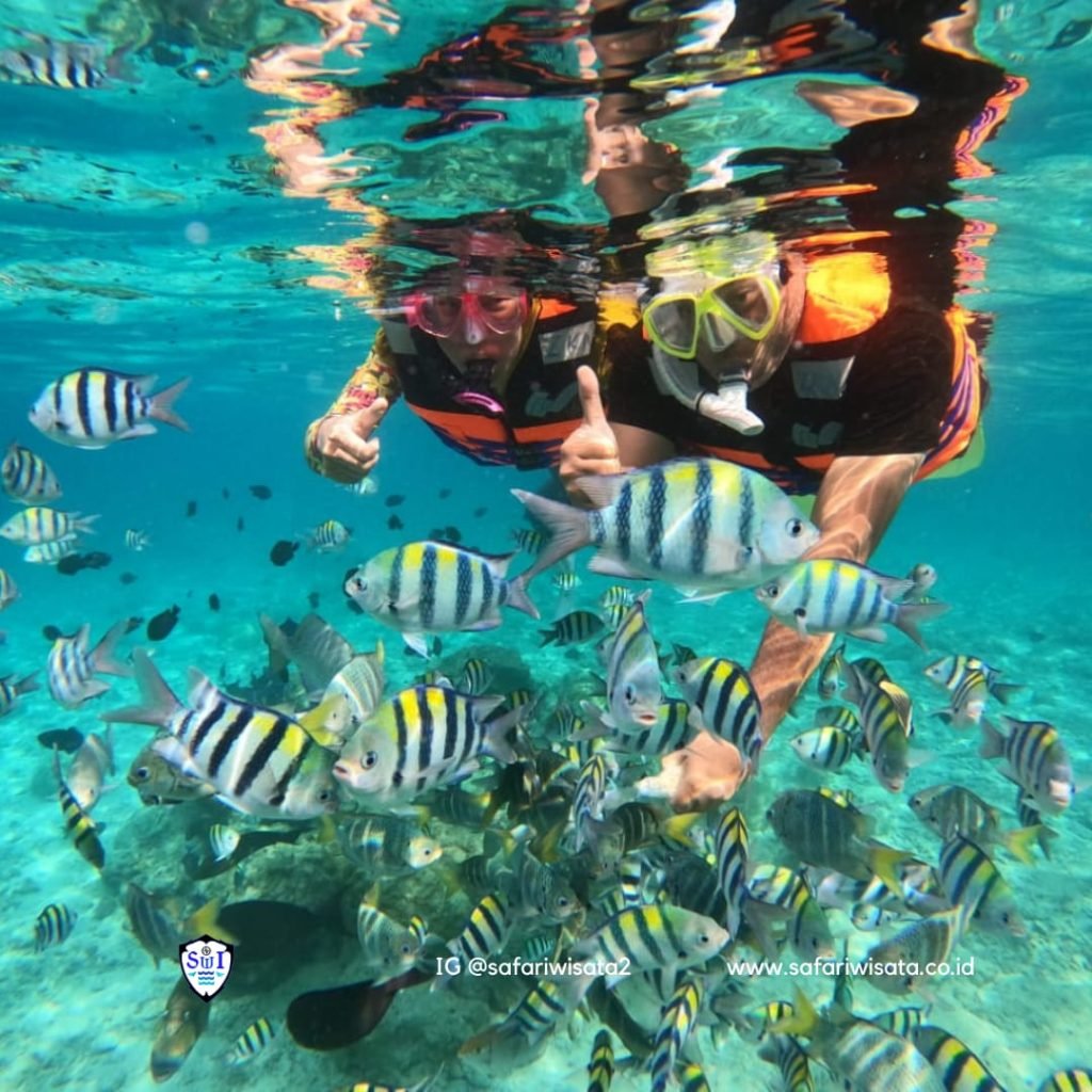 Snorkeling dan diving